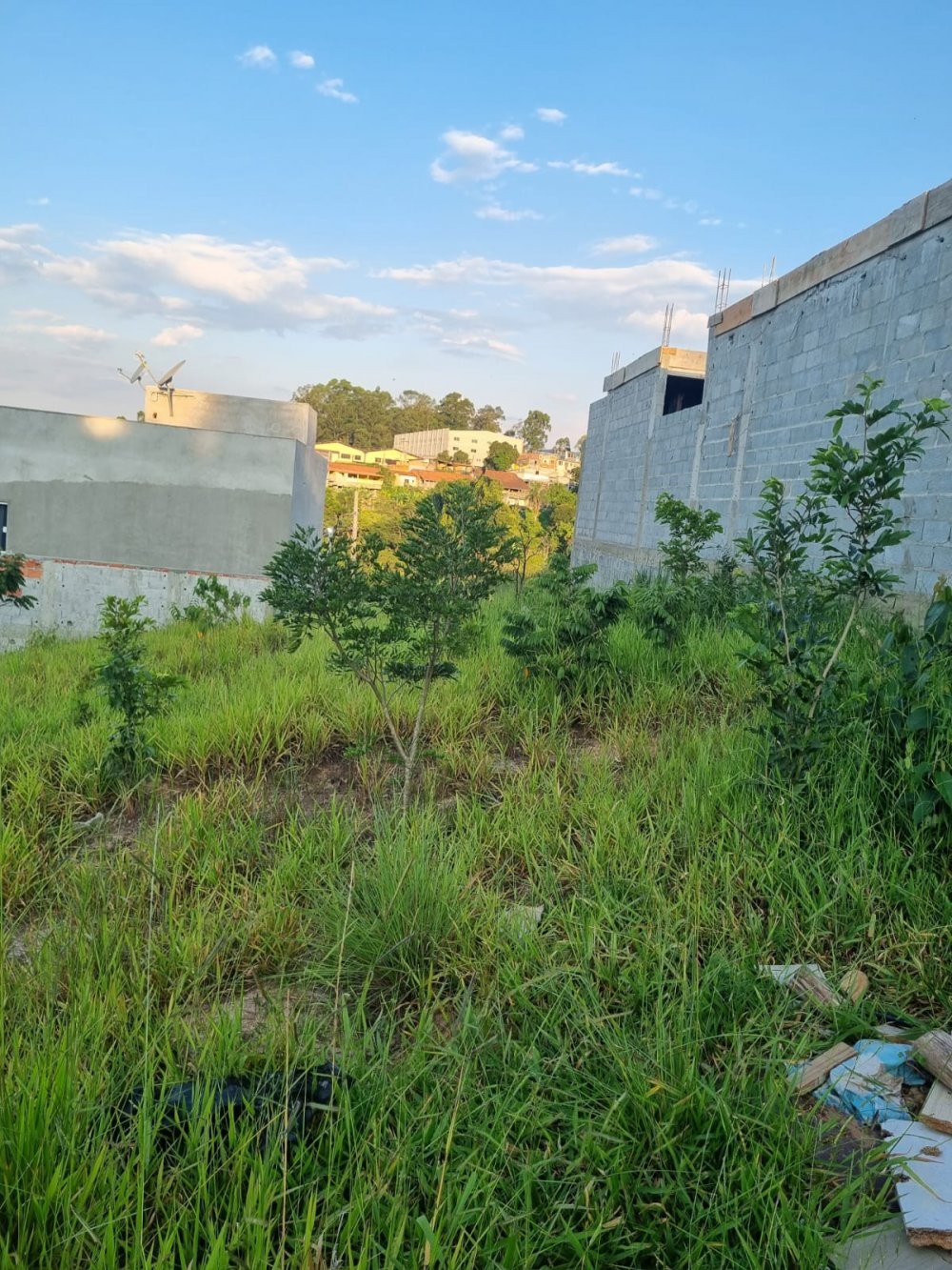 Terreno - Venda - Jardim Rubi - Franco da Rocha - SP